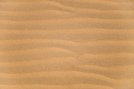 Ripples in the golden sandの写真素材