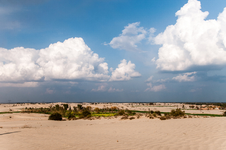 Oasis in the Thar desertの写真素材