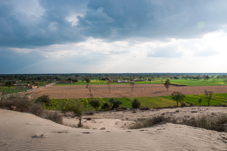 Oasis in the desertの写真素材