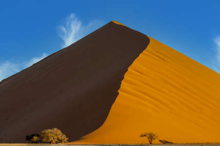 Fascinating view of sand dune in the Namib desertの写真素材