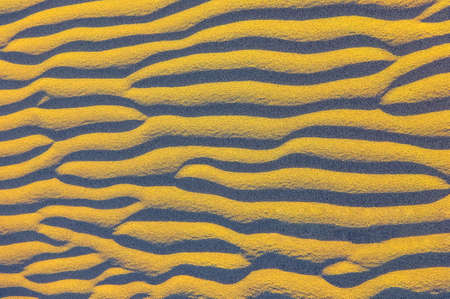 Rippled pattern of sandの写真素材