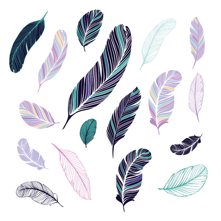 Dark and light colored feathers.のイラスト素材