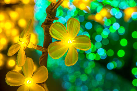 Yellow flowers blinking with colorful beautiful bokeh