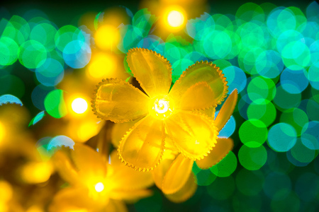 Yellow flowers blinking with colorful beautiful bokehの写真素材