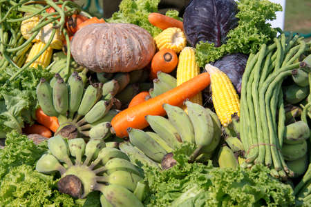Many vegetable and fruit prepare for elephants buffet
