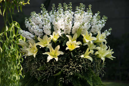 Bunch of decoration flower in ther gardenの写真素材