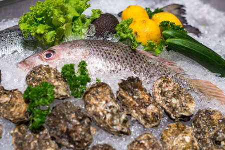 Market fishs and other seafood on iceの写真素材