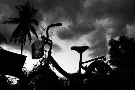 Cycling in the evening.の写真素材