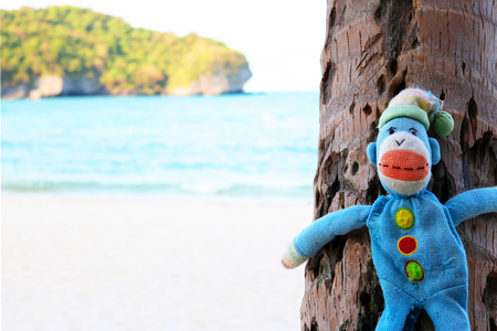 monkey doll and the beach.の写真素材