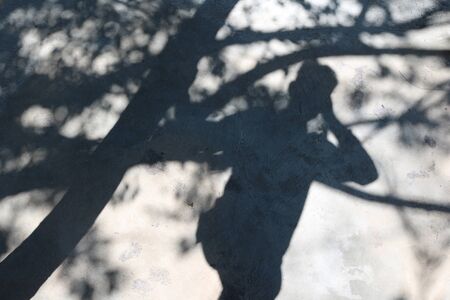 The shadow of the trees and people on the floorの写真素材
