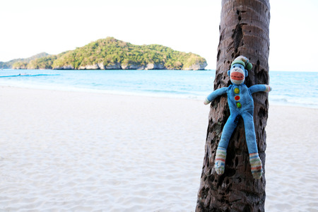 monkey doll and the beach.