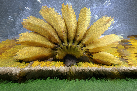 The Bananas on a banana leaf.Extrude background.の写真素材