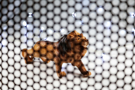 The Lion model. Concept shooting model animals through steel grating and backgrounds, including blur lens in some parts.の写真素材