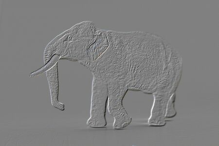 the elephant model .Emboss background.の写真素材