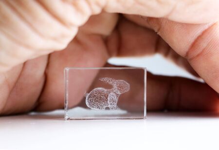 Gift Rabbitの写真素材