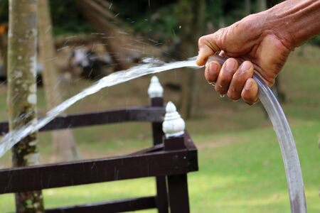 Watering the trees.の写真素材