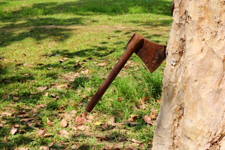 Ax stuck in a tree.の写真素材