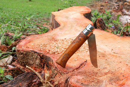 Wooden handle knife stuck on the tree stump.の写真素材