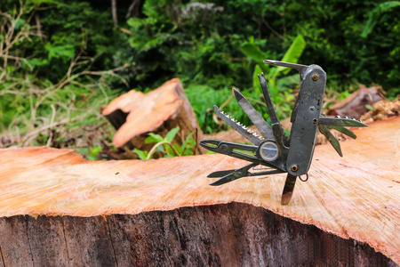Multifunction knife stuck on the tree stump.の写真素材