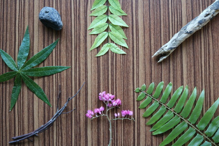Flowers, leaves, wood and stoneの写真素材