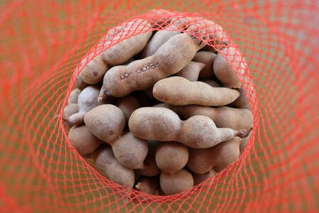 Tamarind in mesh bags.の写真素材
