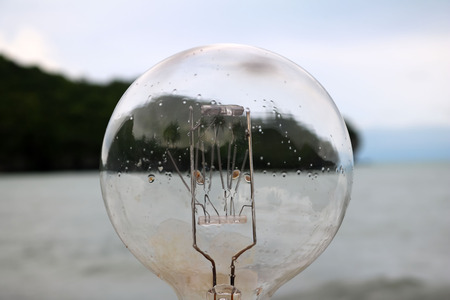 Light bulb with natural views.の写真素材