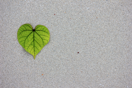 Heart-shaped leaves on the sand,Valentine background concept.の写真素材