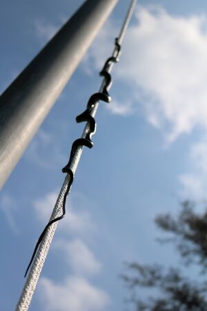 Snakes are creeping up on the ropes against the sky.の写真素材