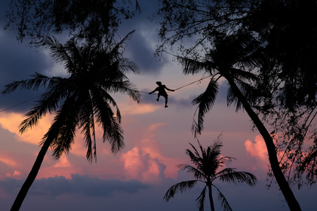 Man climbing coconut and use the rope across to another tree to harvest in the garden against the sky in the evening.の写真素材