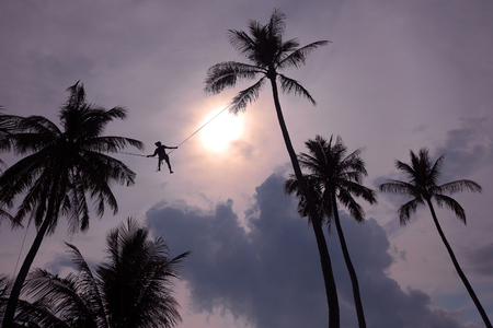 Man climbing coconut and use the rope across to another tree to harvest in the garden against the sky.の写真素材