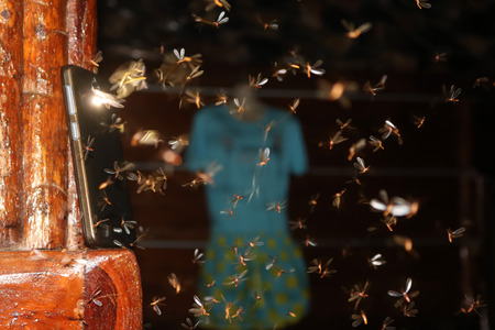 Moths fly around the light from a mobile phone.の写真素材