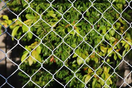 Steel mesh blocked trees, rocks and natural. The cage and view of the nature.の写真素材