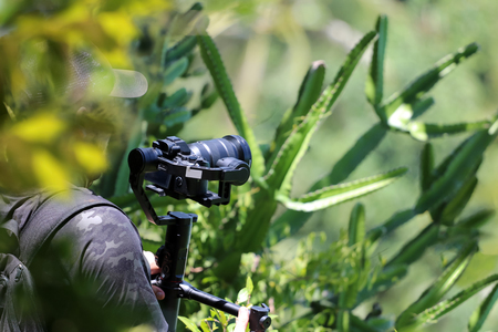 Photographer or videographer holding the video camera on a tripod on top of the mountain. Forest,ocean and blue sky  background.の写真素材