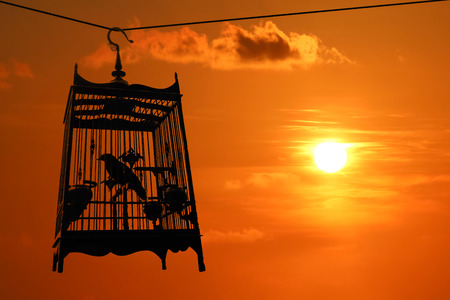 Silhouette of Bird in the cage with red sky sunset background, freedom concept.の写真素材