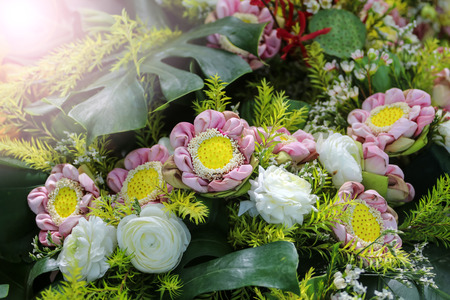 Colorful various species of flowers in the tropical in Thailandの写真素材