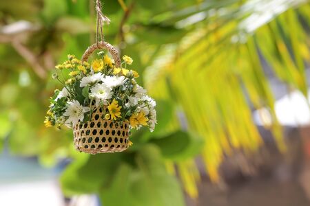 Hanging flower vase decorated at the beach garden.の写真素材