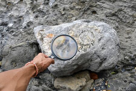 Archaeologists are using tools and equipment to explore fossils found in sedimentary rocks such as shale, sandstone or limestone.の写真素材