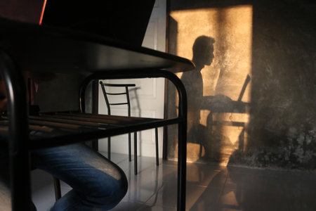 A shadow of a man working with a computer on a chair at the wall of the room.の写真素材