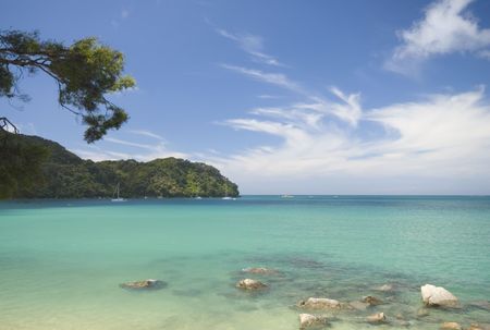 View over Bark Bay, New Zealandの写真素材