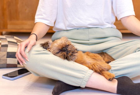 A woman is sitting cross-legged on a wooden floor at home. Her red dog sleeps on her lapの写真素材