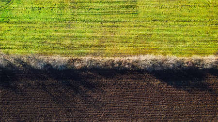 A overhead view of agricultural fields divided by a thin layer of trees. Grassy on one side. Plowed dirt on the other.の写真素材