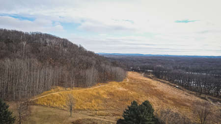 The hill is covered with bare trees in autumn with a yellow field sitting below.の写真素材