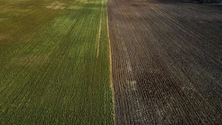 Green field and dirt field in autumn.の写真素材