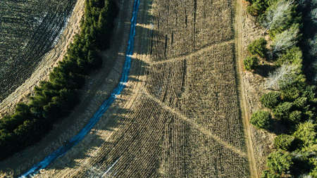 Last seasons harvest still stands as leftovers from last season. Autumn and winter has arrived. Pine...