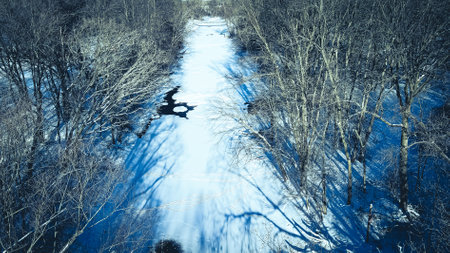 frozen winter river with overgrown treesの写真素材