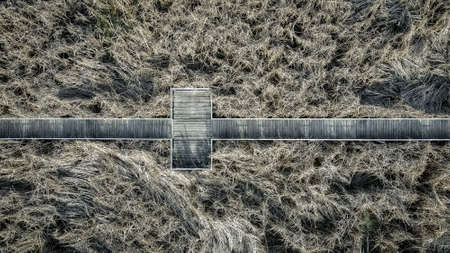 A hiking trail through the thick marsh grass leading to a sight seeing are on small pond