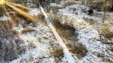 Snow covers the landscape with the sunsetting behind the trees. The sunlight lights up the land.の写真素材