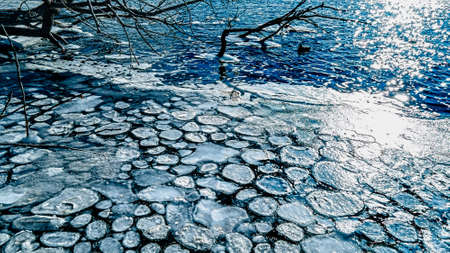 Tree fallen in the river with icy patterns and bright sunshine over the waterの写真素材