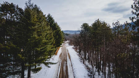 A vibrant green covers the land with the empty road in the valley.の写真素材