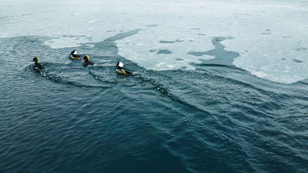An icy pond with wood ducks swimming through the iceの写真素材